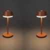 Akku Tischleuchte 2er Set für Outdoor dimmbar, kabellos in Terracotta, 30cm