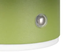 2er SET Akku Wandlampen aus Metall Grün per USB aufladbar, Ø 15,5cm