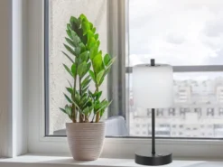2er SET kabellose Tischlampen Schwarz / Opalglas dimmbar, Höhe 34,5cm