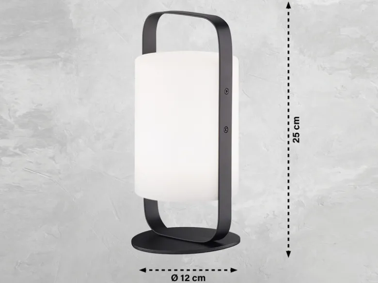 2er SET Outdoor Akku Tischlampen mit Fernbedienung & RGB, Höhe 25cm