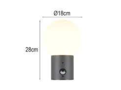 LED Außenwandleuchte in Anthrazit mit Glaskugel & Bewegungsmelder, Höhe 28cm