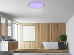 LED Deckenleuchte FRODENO Fernbedienung dimmbar Sternenhimmel Farbwechsel Ø48cm