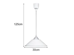 Skandinavische LED Pendelleuchte mit Glas Lampenschirm, Ø 30cm